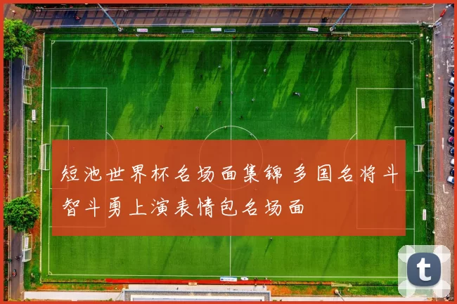 短池世界杯名场面集锦 多国名将斗智斗勇上演表情包名场面