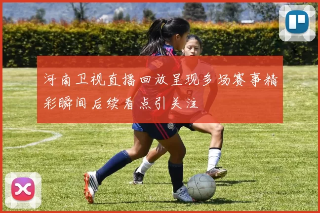 河南卫视直播回放呈现多场赛事精彩瞬间后续看点引关注