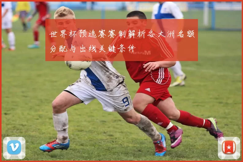 世界杯预选赛赛制解析各大洲名额分配与出线关键条件