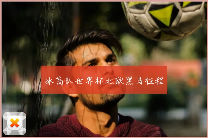 冰岛队世界杯北欧黑马征程